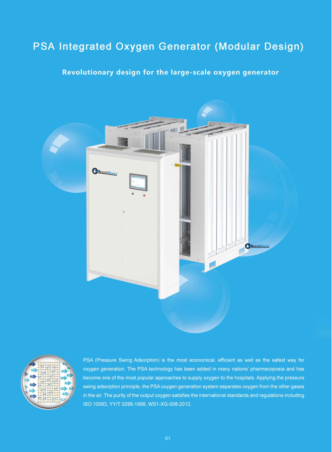 PSA Geïntegreerde van de de Zuurstofgenerator 756kg van Bakenmedaes Gewicht ISO 8573-1 1